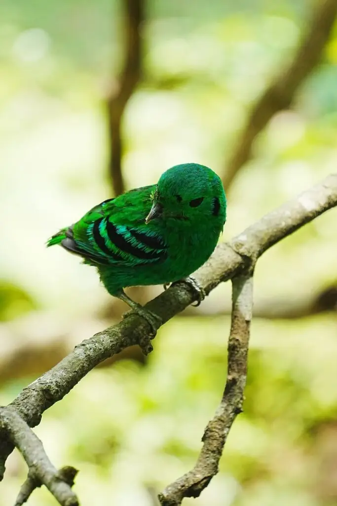 Vivid2 · Jonpoon.jpg — photo 7